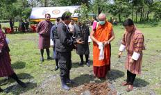 Forestry day